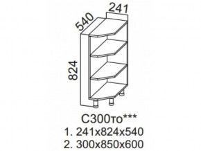 С300то Стол-рабочий 300 (торцевой открытый) в Еманжелинске - emanzhelinsk.magazin-mebel74.ru | фото