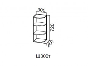 Ш300т/720 Шкаф навесной 300/720 (торцевой) в Еманжелинске - emanzhelinsk.magazin-mebel74.ru | фото