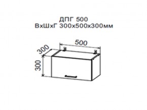 Шкаф верхний ДПГ500 горизонтальный в Еманжелинске - emanzhelinsk.magazin-mebel74.ru | фото