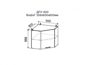 Шкаф верхний ДПУ600 угловой в Еманжелинске - emanzhelinsk.magazin-mebel74.ru | фото